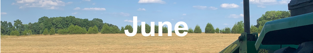 June Newsletter Button: Picture of tractor making hay
