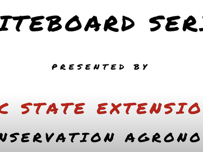 WHITEBOARD SERIES presented by NC State Extension Conservation Agronomy