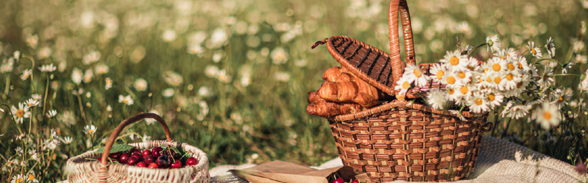 Picnic