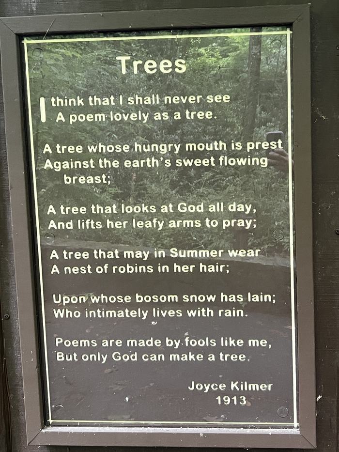 Tree poem