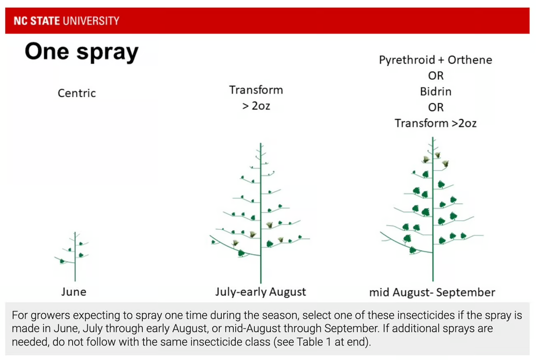 spary table