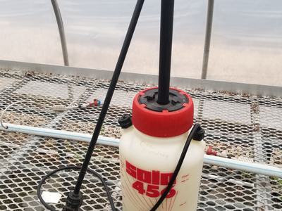White spray jug on wire table.