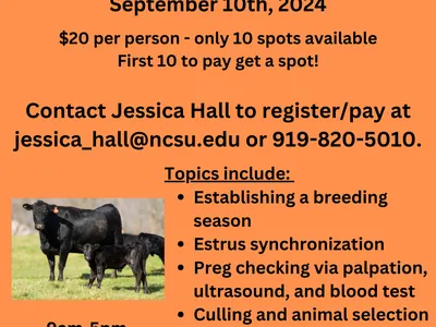 Cattle repro school