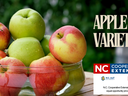 Bowl of red and green apples; text "APPLE VARIETIES" and NC Cooperative Extension logo