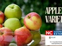 Bowl of red and green apples; text "APPLE VARIETIES" and NC Cooperative Extension logo
