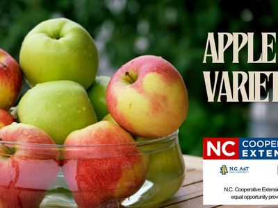 Bowl of red and green apples; text "APPLE VARIETIES" and NC Cooperative Extension logo