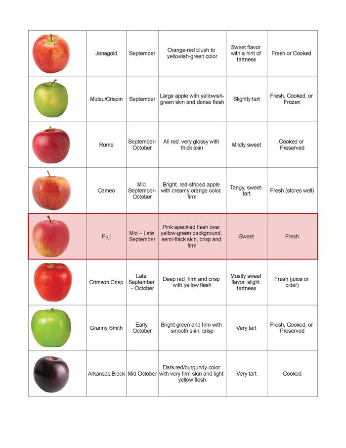 Apple variety Chart