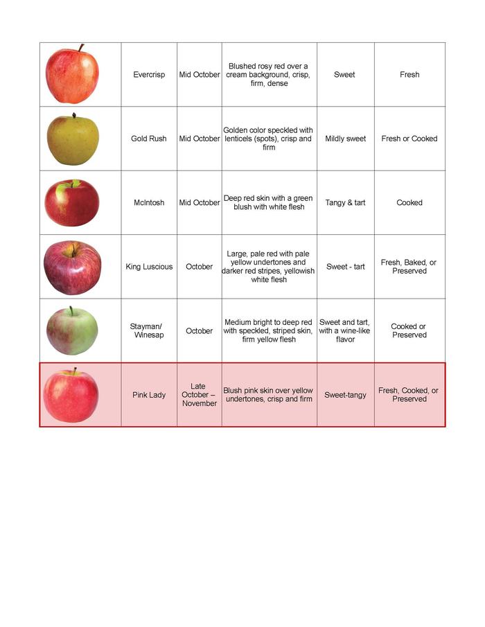 Apple Variety Chart