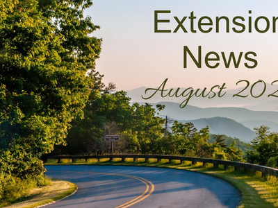 August 2024 Newsletter