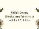 Yadkin County Horticulture Newsletter — August 2024 with daisy and lily-of-the-valley border