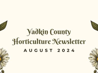 Yadkin County Horticulture Newsletter — August 2024 with daisy and lily-of-the-valley border