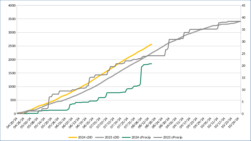 Line chart of 2023 vs 2024 cumulative cDD and cumulative precipitation by date