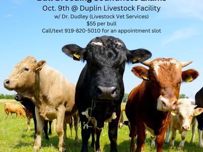Bull Breeding Soundness Exams