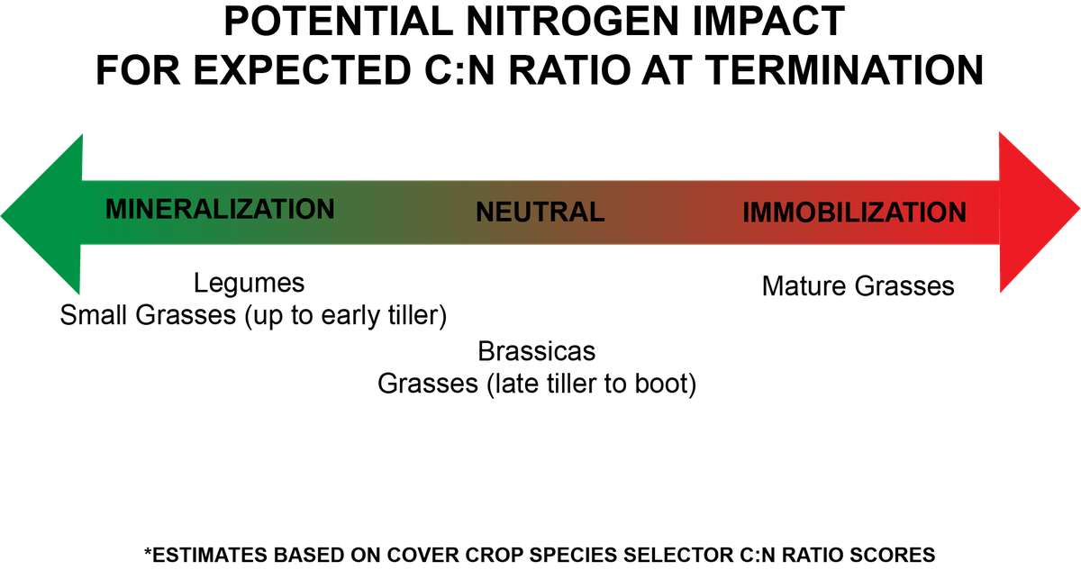Immobilization and mineralization potential of cover crop types