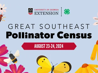Great Southeast Pollinator Census August 23-24