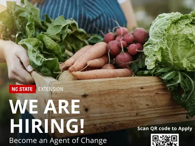 we are hiring flyer