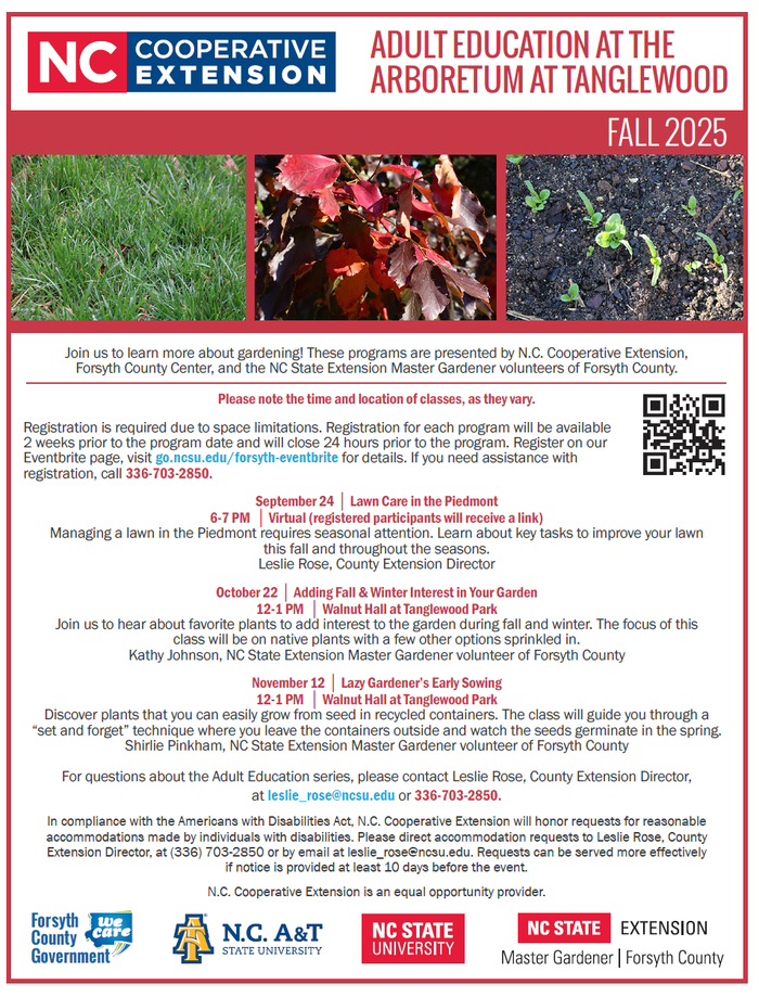 Fall 2025 Adult Education flyer image