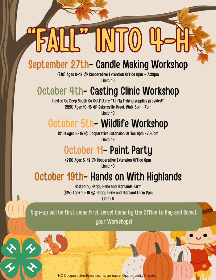 "Fall" into 4-H poster with workshops. 