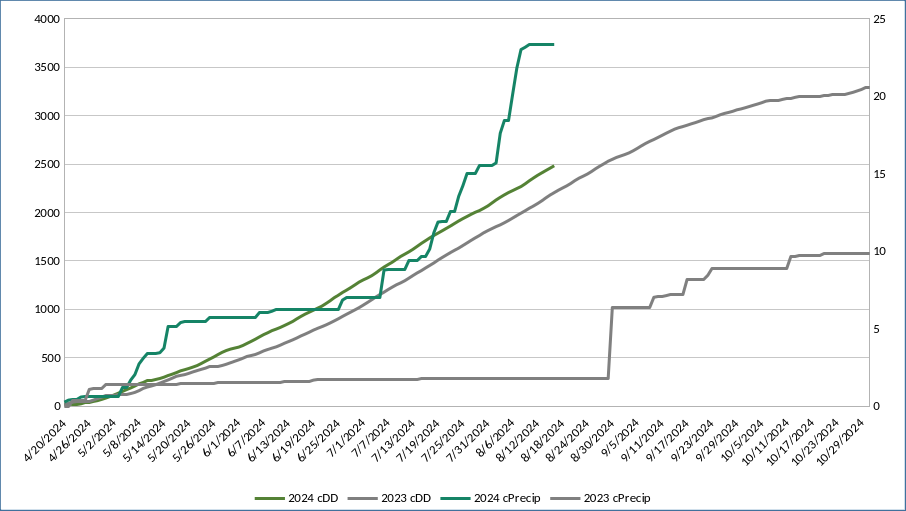 Lines showing cumulative cDD and cPrecip Apr–Oct 2024 vs 2023; legend: 2024/2023 cDD and cPrecip