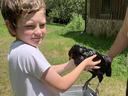 4-H member holding one of his chickens.