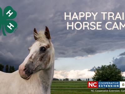 Horse in a field under stormy sky, text "HAPPY TRAILS HORSE CAMP" and 4-H and NC Cooperative Extension logos