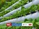 gardening without soil