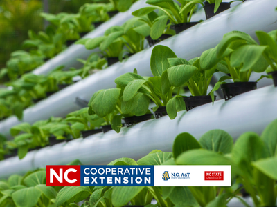 gardening without soil