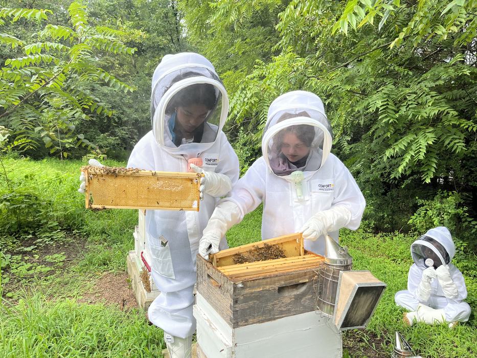 Three people in beekeeping suits inspecting honeycomb frames at a wooden hive