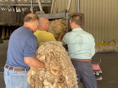 baling wool at the wool pool