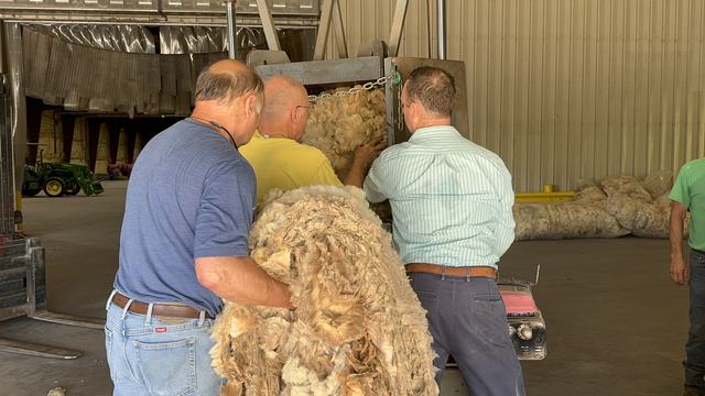 baling wool at the wool pool