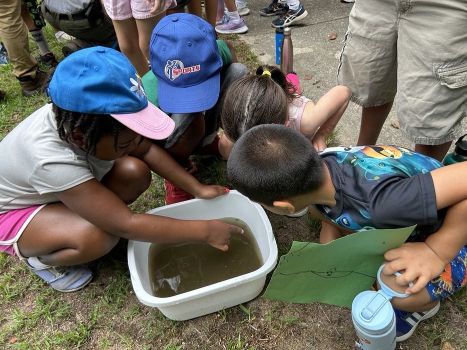 Children crouching around a tub of murky water, one child pointing inside