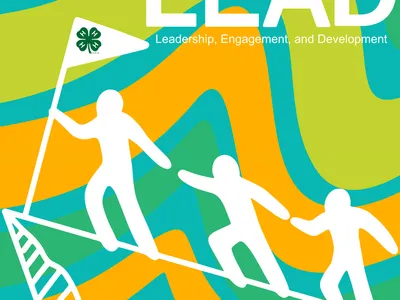 three human forms carrying 4-H flag up a summit