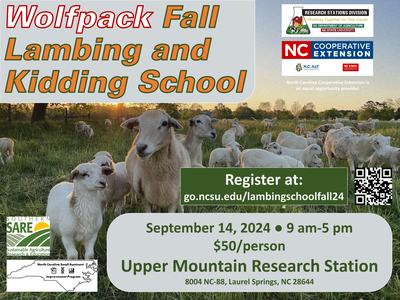 Sheep flock; text: "Wolfpack Fall Lambing and Kidding School, Sept 14, 2024"