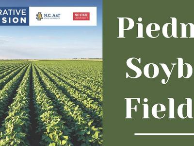Rows of soybean plants with text Piedmont Soybean Field Day and NC Cooperative Extension logo