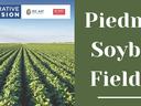 Rows of soybean plants with text Piedmont Soybean Field Day and NC Cooperative Extension logo