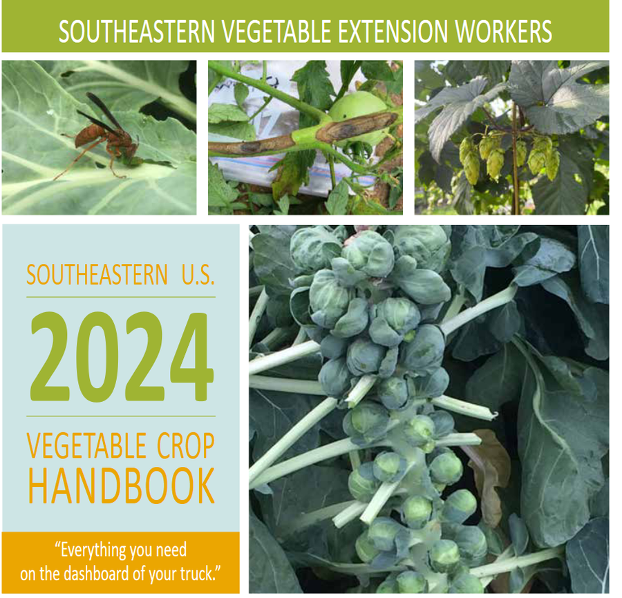 Southeastern U.S. 2024 Vegetable Crop Handbook cover with brussels sprouts and three inset photos