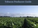 Hurricane Guide