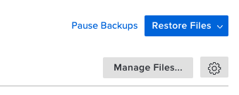 Toolbar with "Pause Backups", blue "Restore Files" button, "Manage Files..." button and gear icon