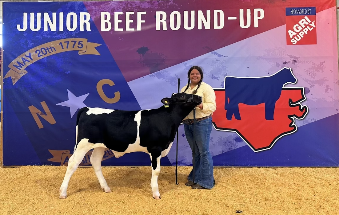 Young exhibitor holding a black-and-white calf in front of a "Junior Beef Round-Up" banner
