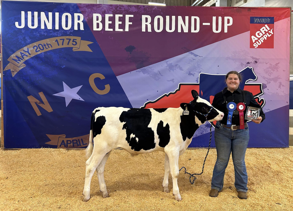 Young exhibitor holding ribbons beside a black-and-white calf at "JUNIOR BEEF ROUND-UP" banner