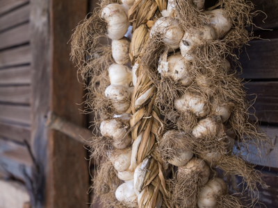 string of garlic tied outside