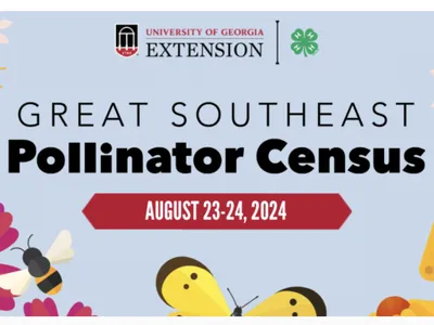 Great Southeast Pollinator Census Banner, August 23-24