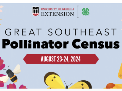 Great Southeast Pollinator Census Banner, August 23-24