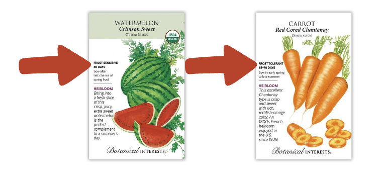Watermelon "Crimson Sweet" seed packet with red arrows pointing to Carrot "Red Cored Chantenay" packet