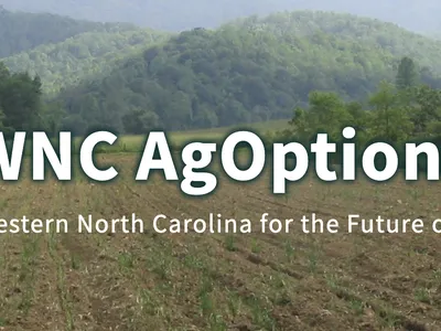 the AgOptions logo
