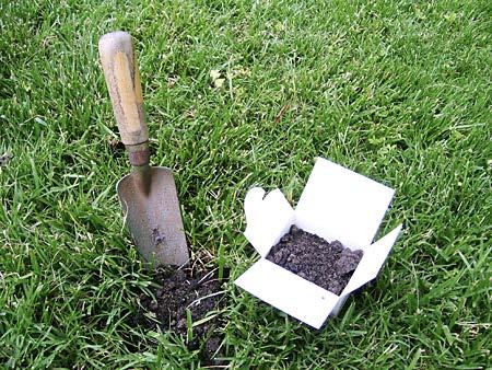 Green Lawn with spade and soil test box