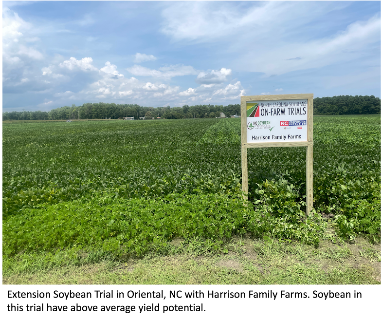 Soybean field in Oriental, NC with sign in front of it showing "North Carolina Soybeans on-farm trials - Harrison Family Farms"