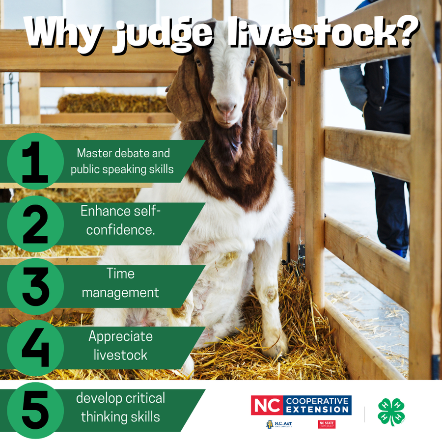 "Why judge Livestock" with picture of a goat