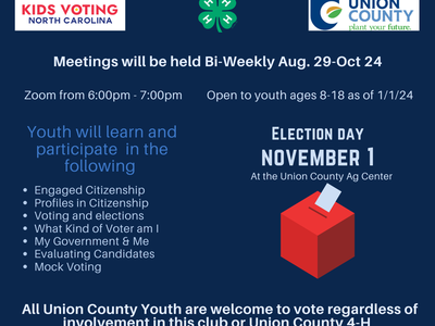 Youth voting flier