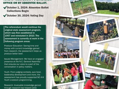 Cattle Referendum flyer